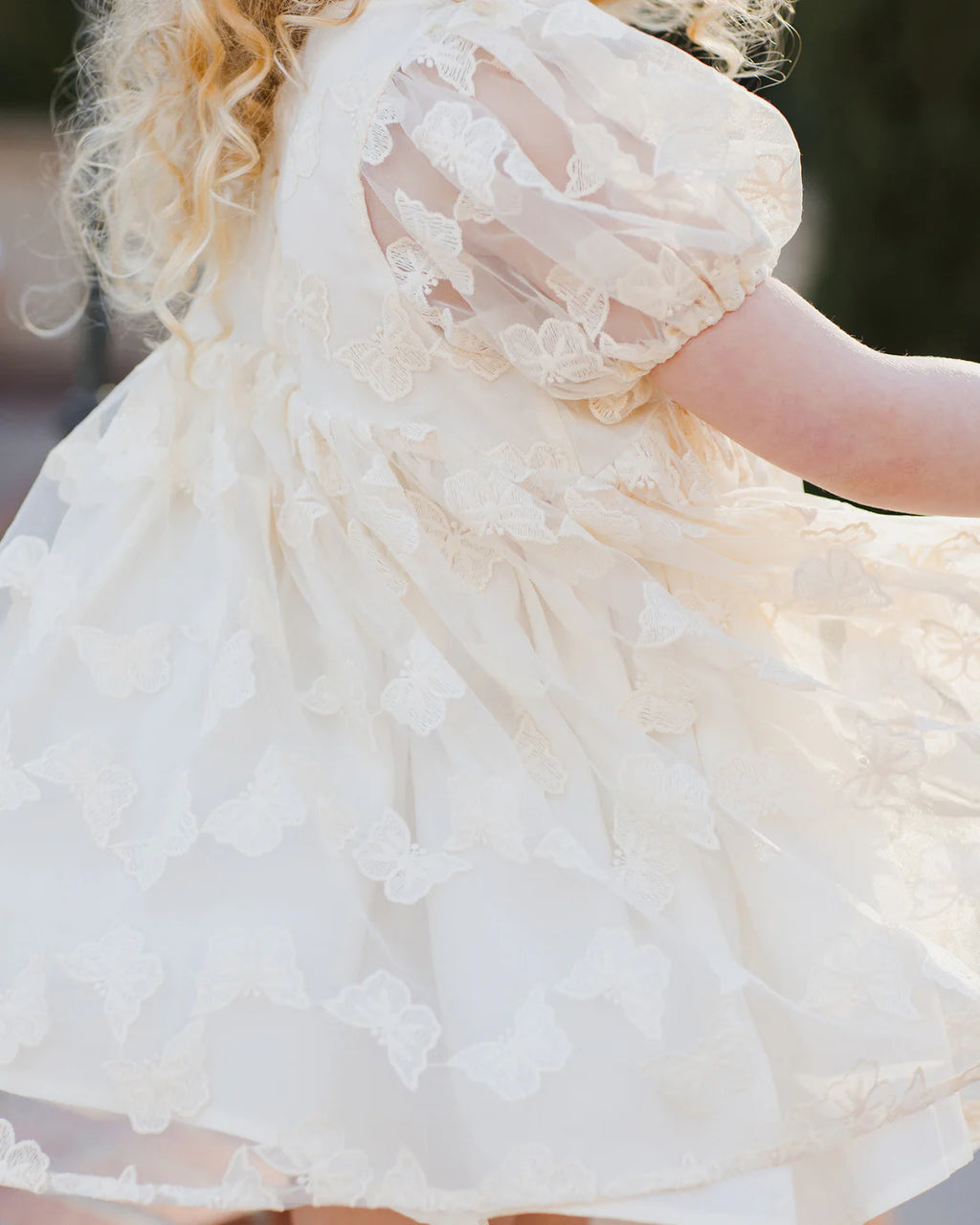 Noralee Luna Dress | Butterfly