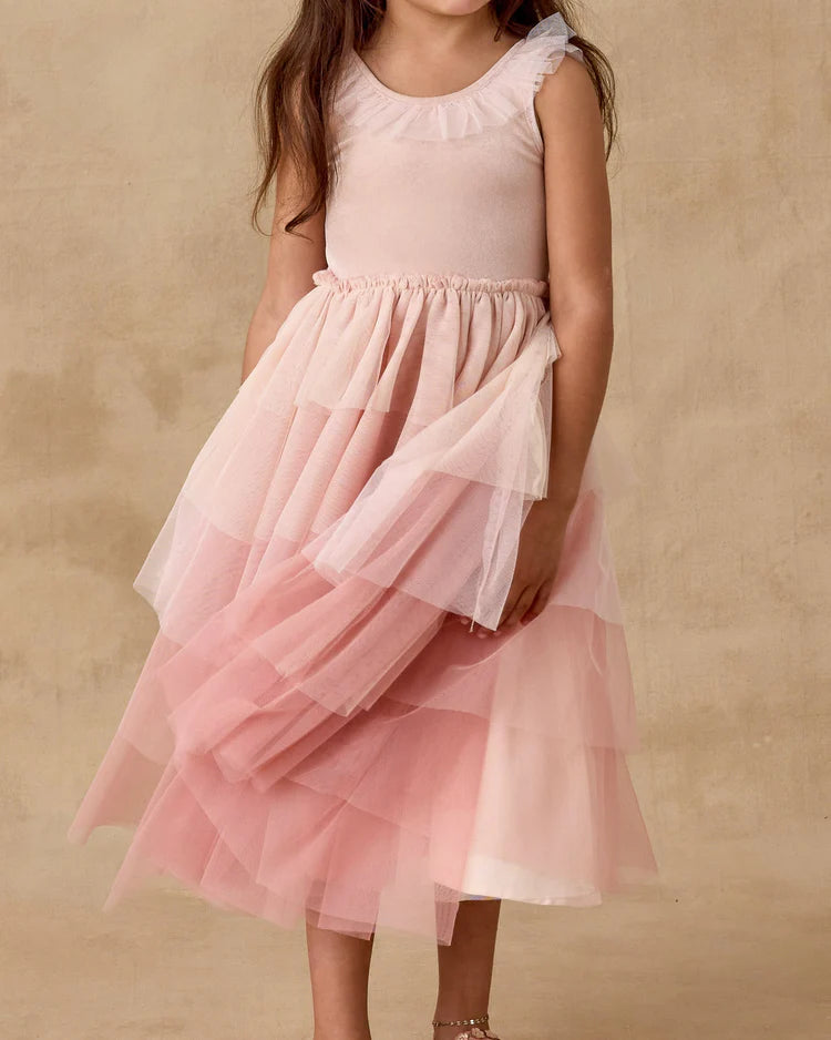 Noralee  Pixie Dress | Pink Ombre