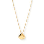 Arms of Eve Perla Gold Shell Necklace