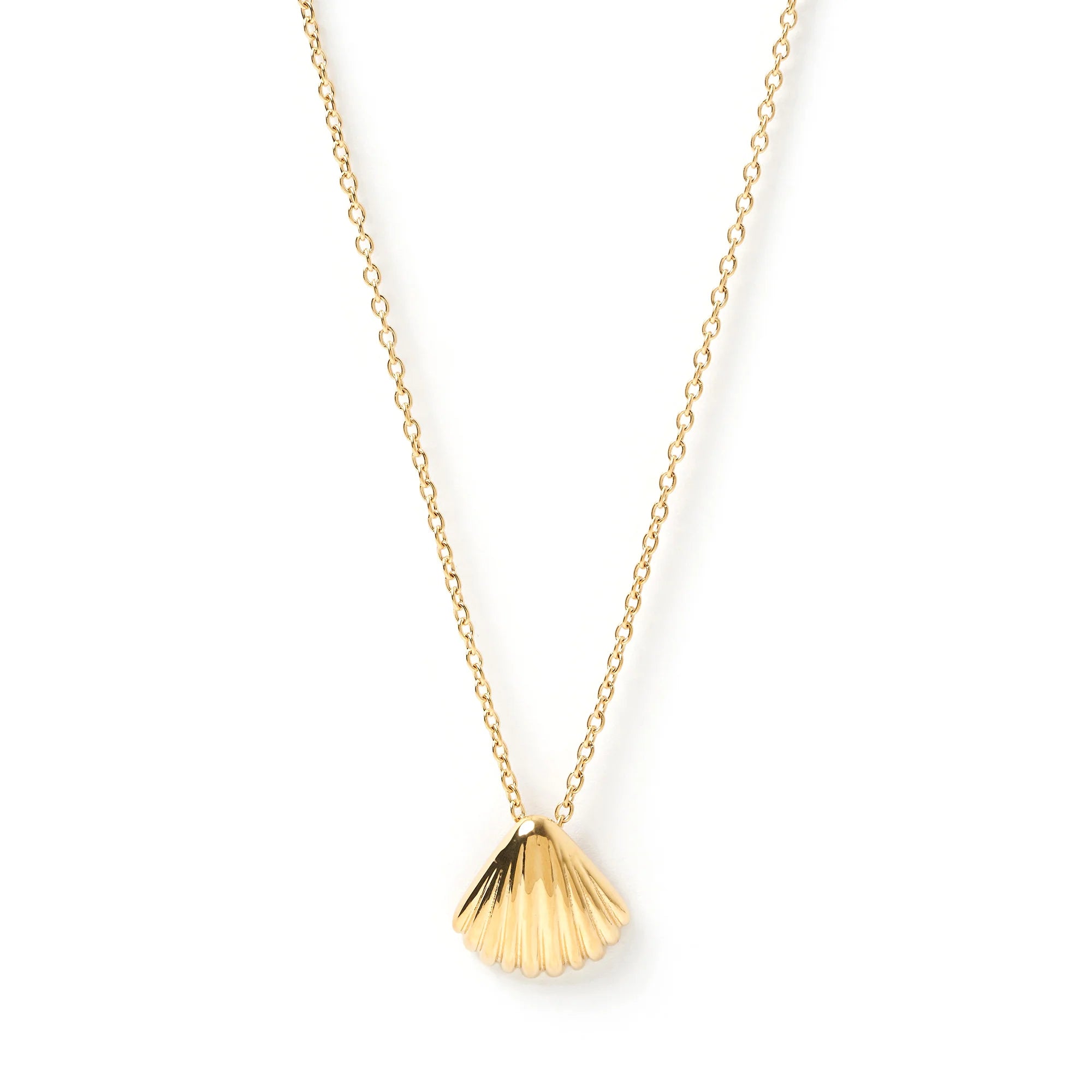 Arms of Eve Perla Gold Shell Necklace