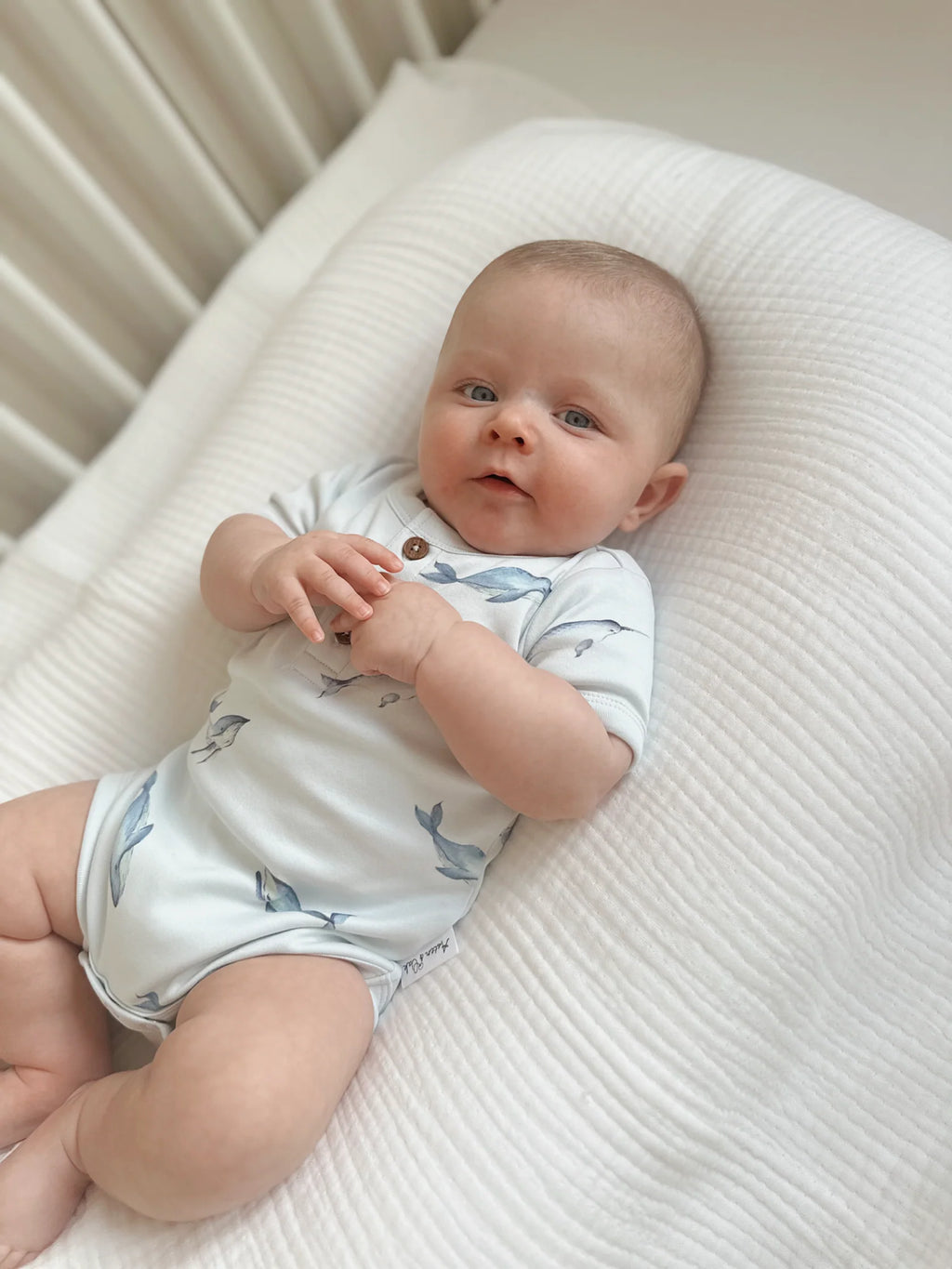 Aster & Oak Under The Sea Henley Onesie