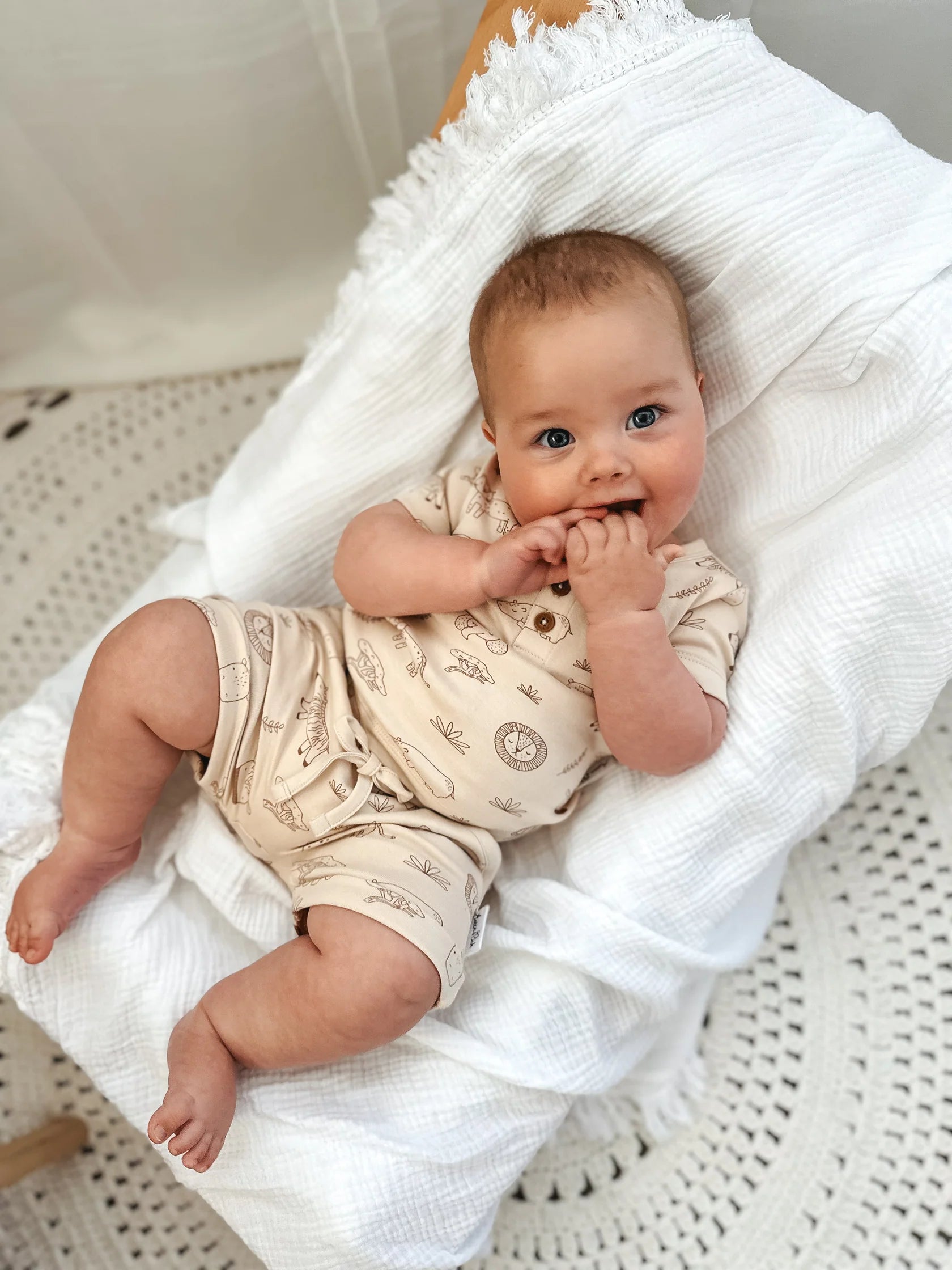 Aster & Oak - Safari Adventure Shorts