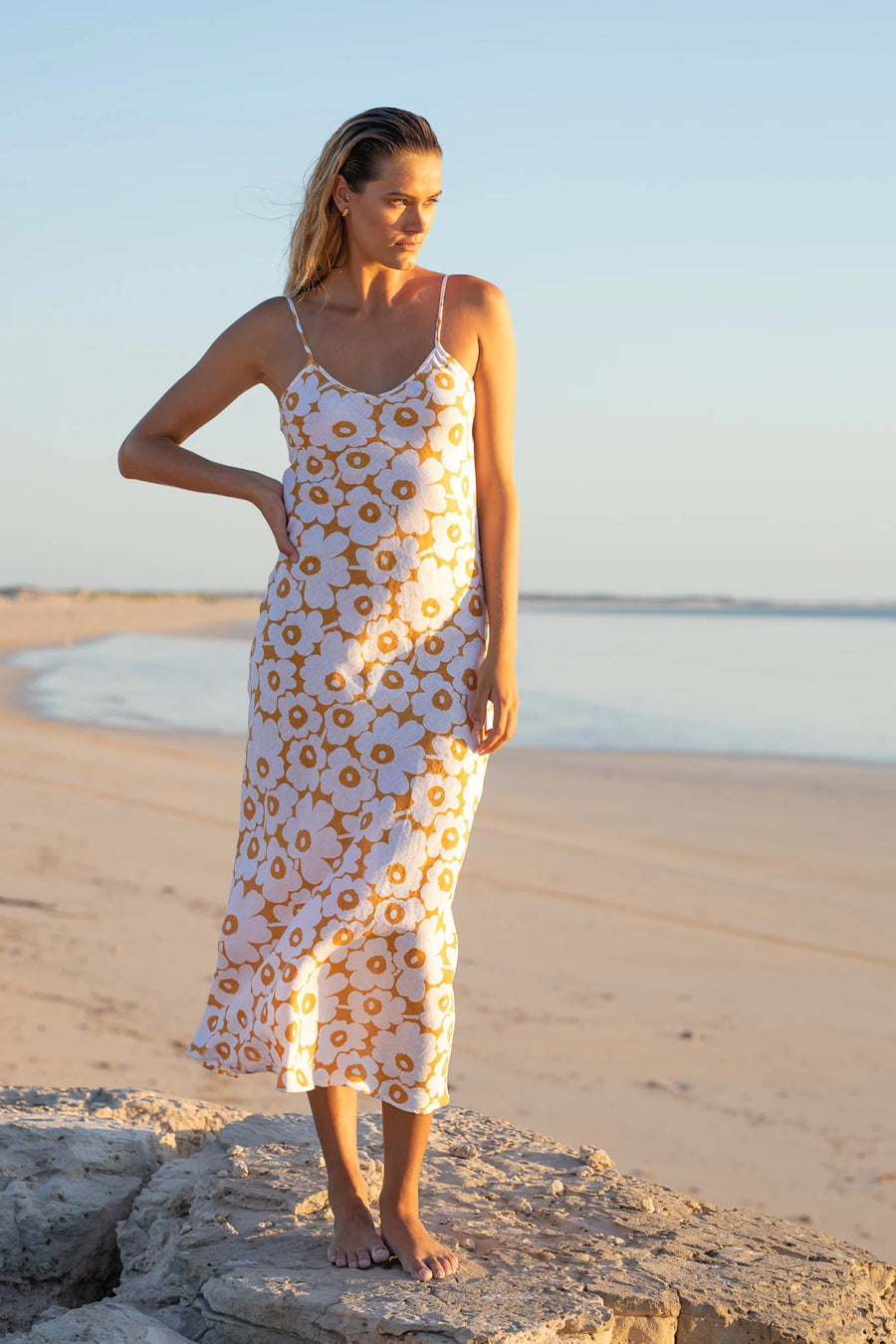 Pops + Co The Poppy in Sunset