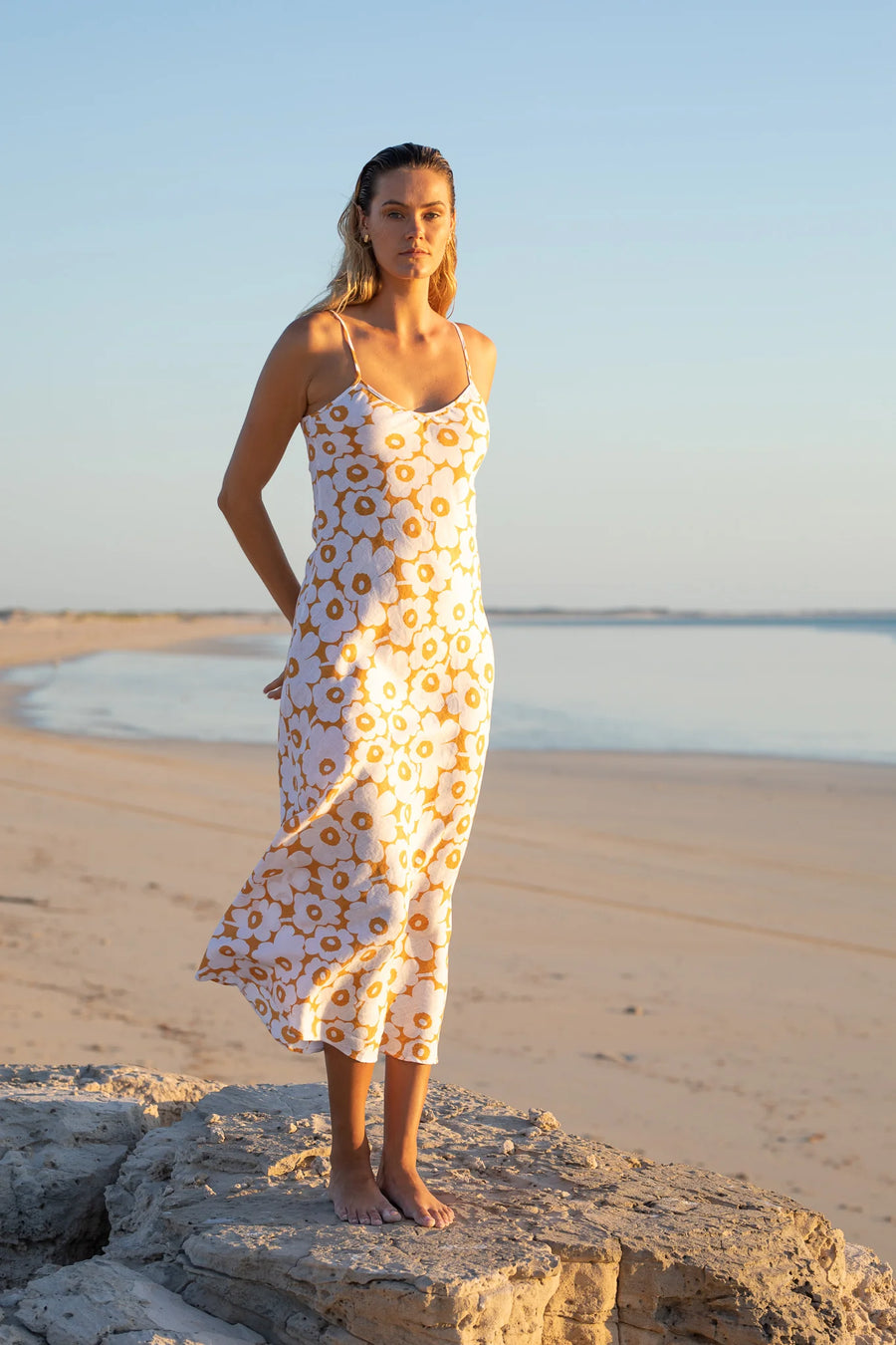 Pops + Co The Poppy in Sunset