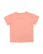 Fox & Finch Abstract Oasis Desert Horse Tee