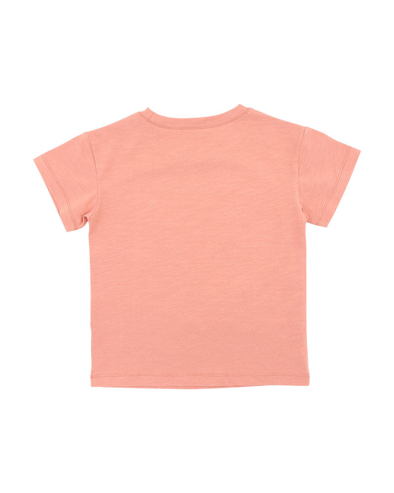 Fox & Finch Abstract Oasis Desert Horse Tee