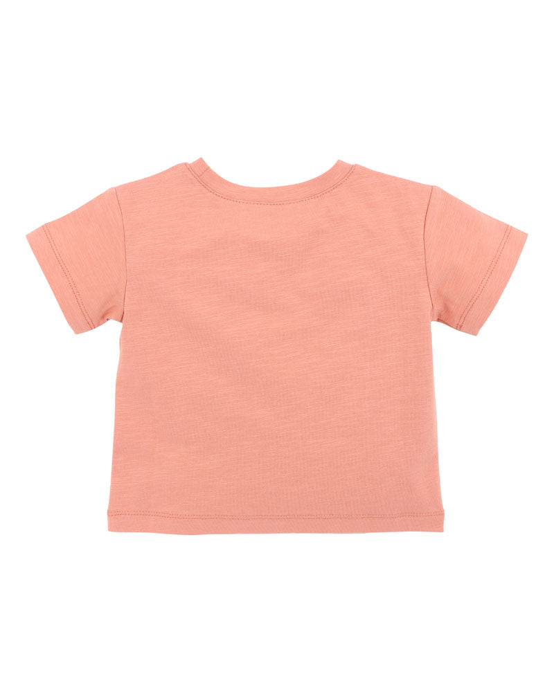 Fox & Finch Abstract Oasis Desert Horse Tee