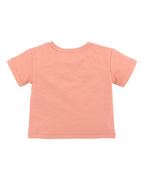 Fox & Finch Abstract Oasis Desert Horse Tee