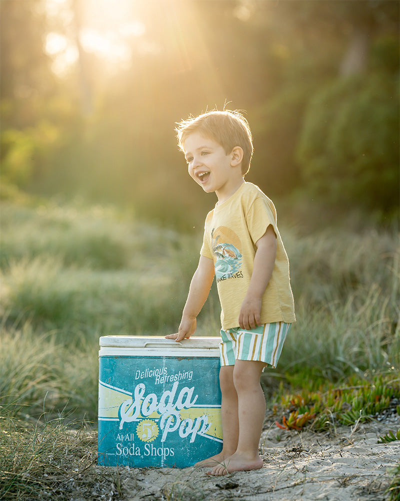 Fox & Finch Surfs Up Stripe Shorts