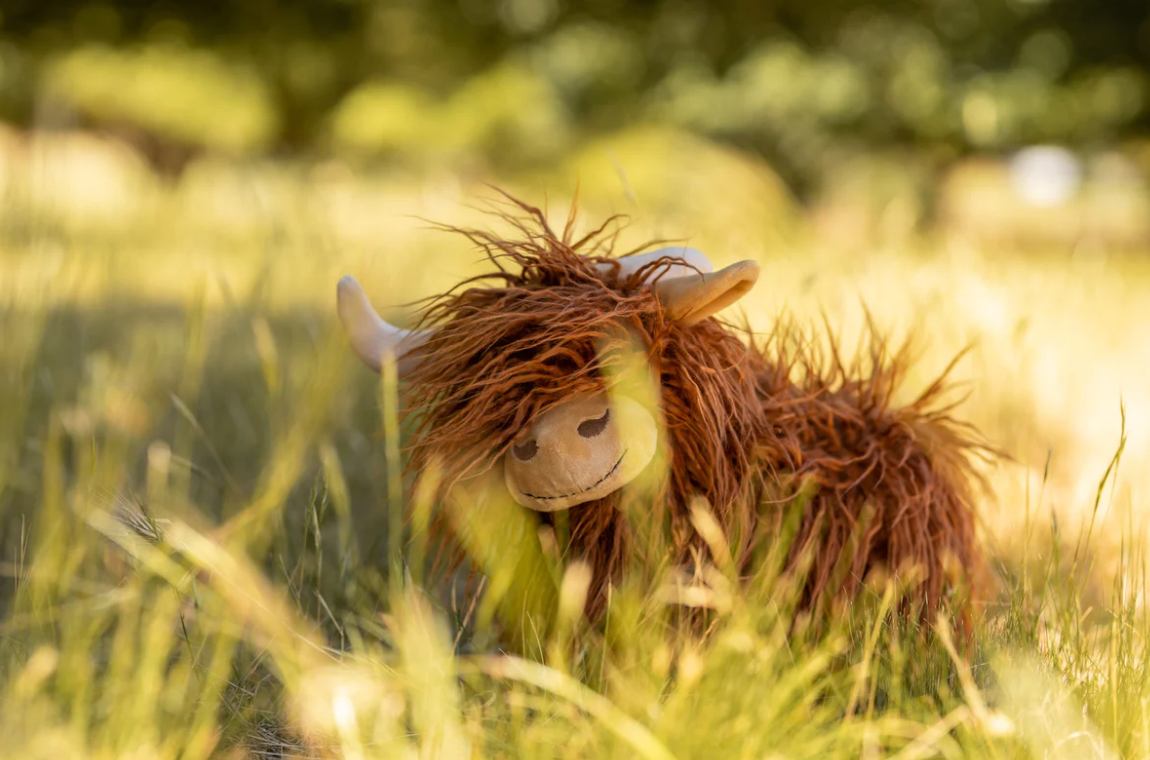 Nana Huchy Heidi the Highland Cow