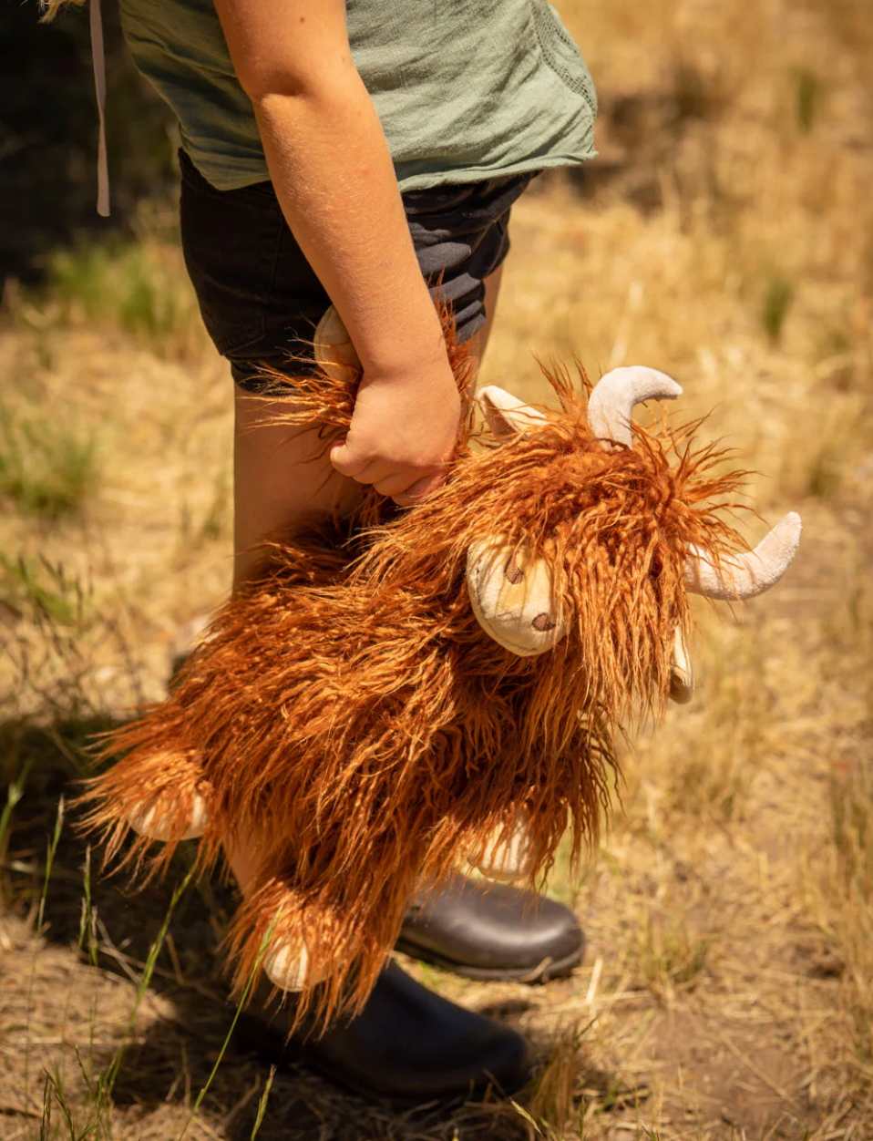 Nana Huchy Henry the Highland Cow