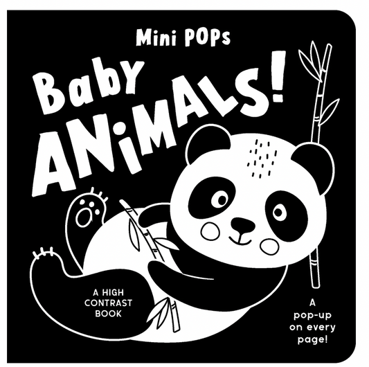 Lake Press Mini Pop Up Book - Baby Animals