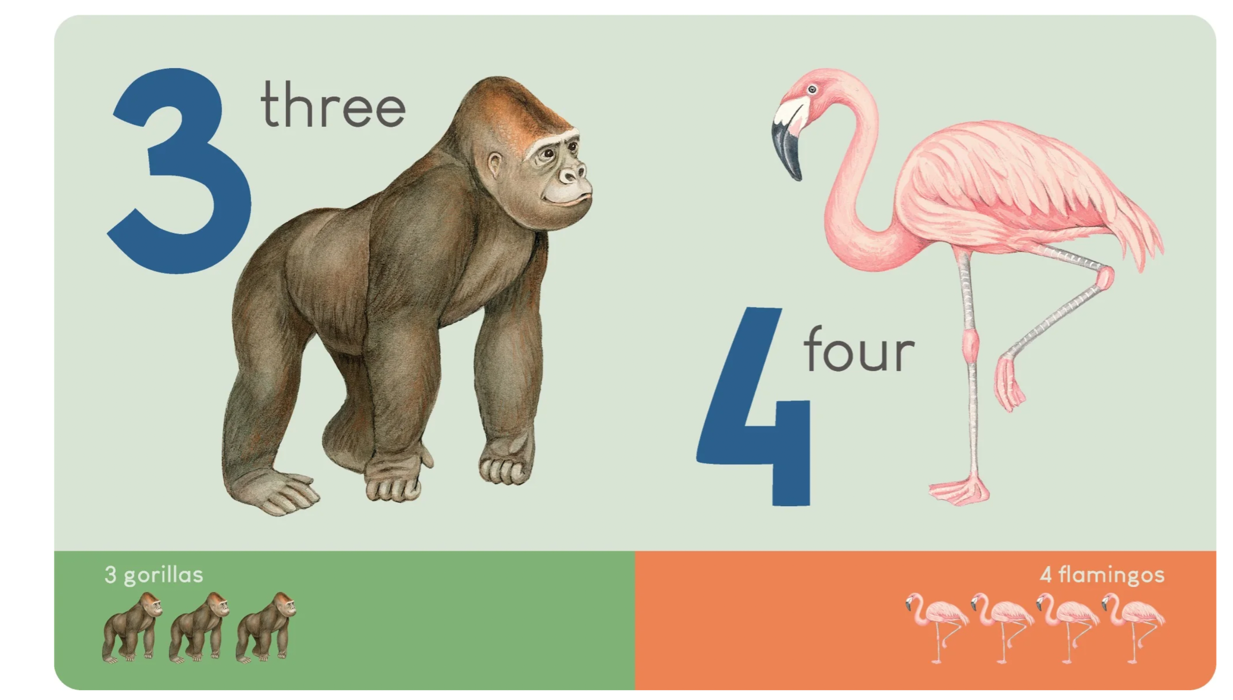 Lake Press Carry Me Book - Animal Numbers