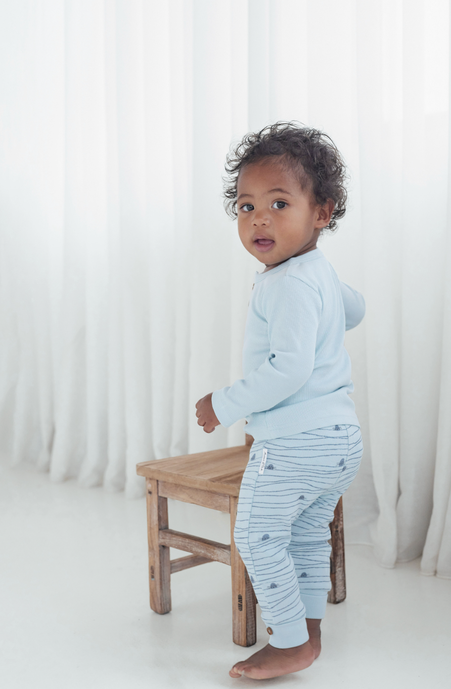 Aster & Oak Striped Seal Rib Legging