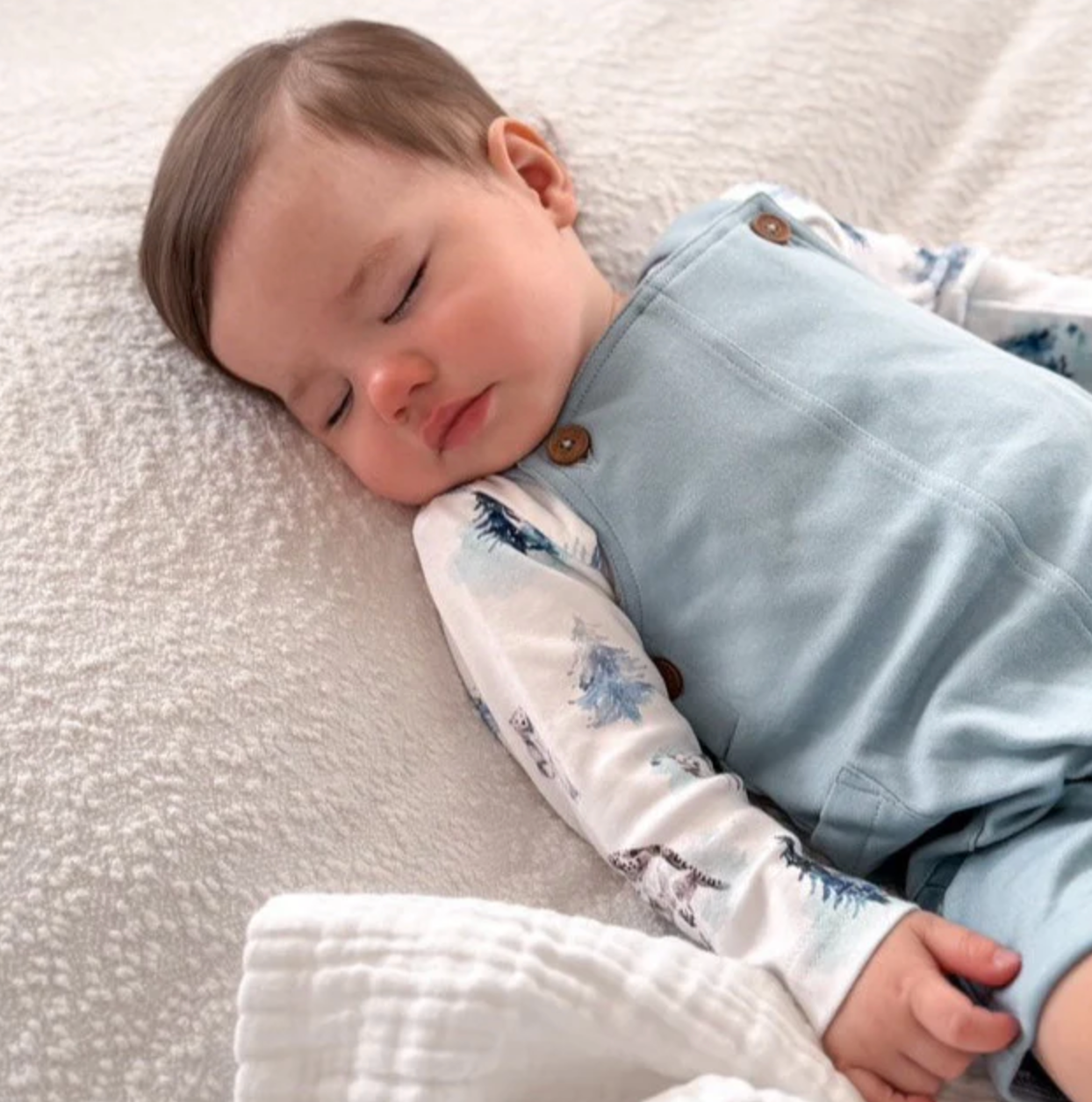 Aster & Oak Snow Animals Overall Set