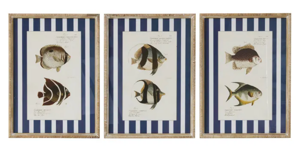 Coast to Coast Aquatic Frame Glass Print 40x55cm (3 Styles)