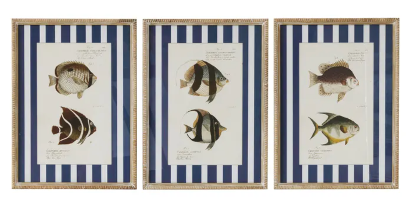 Coast to Coast Aquatic Frame Glass Print 40x55cm (3 Styles)