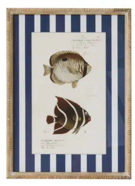 Coast to Coast Aquatic Frame Glass Print 40x55cm (3 Styles)