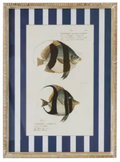 Coast to Coast Aquatic Frame Glass Print 40x55cm (3 Styles)