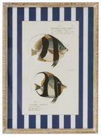 Coast to Coast Aquatic Frame Glass Print 40x55cm (3 Styles)