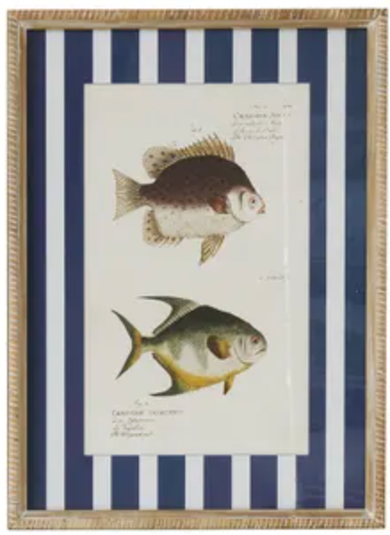 Coast to Coast Aquatic Frame Glass Print 40x55cm (3 Styles)