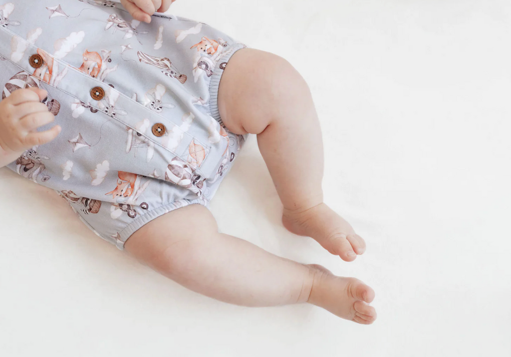 Aster & Oak Flying Friends Bubble Romper