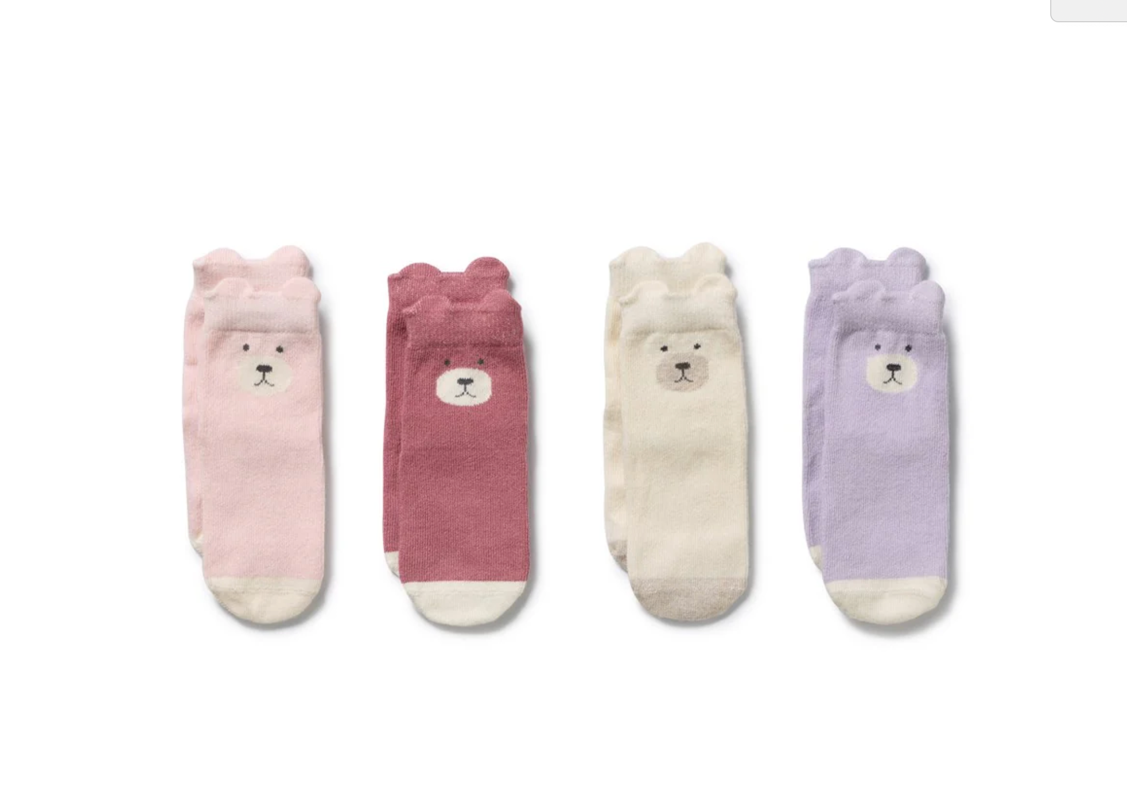 Wilson & Frenchy Socks in a Box