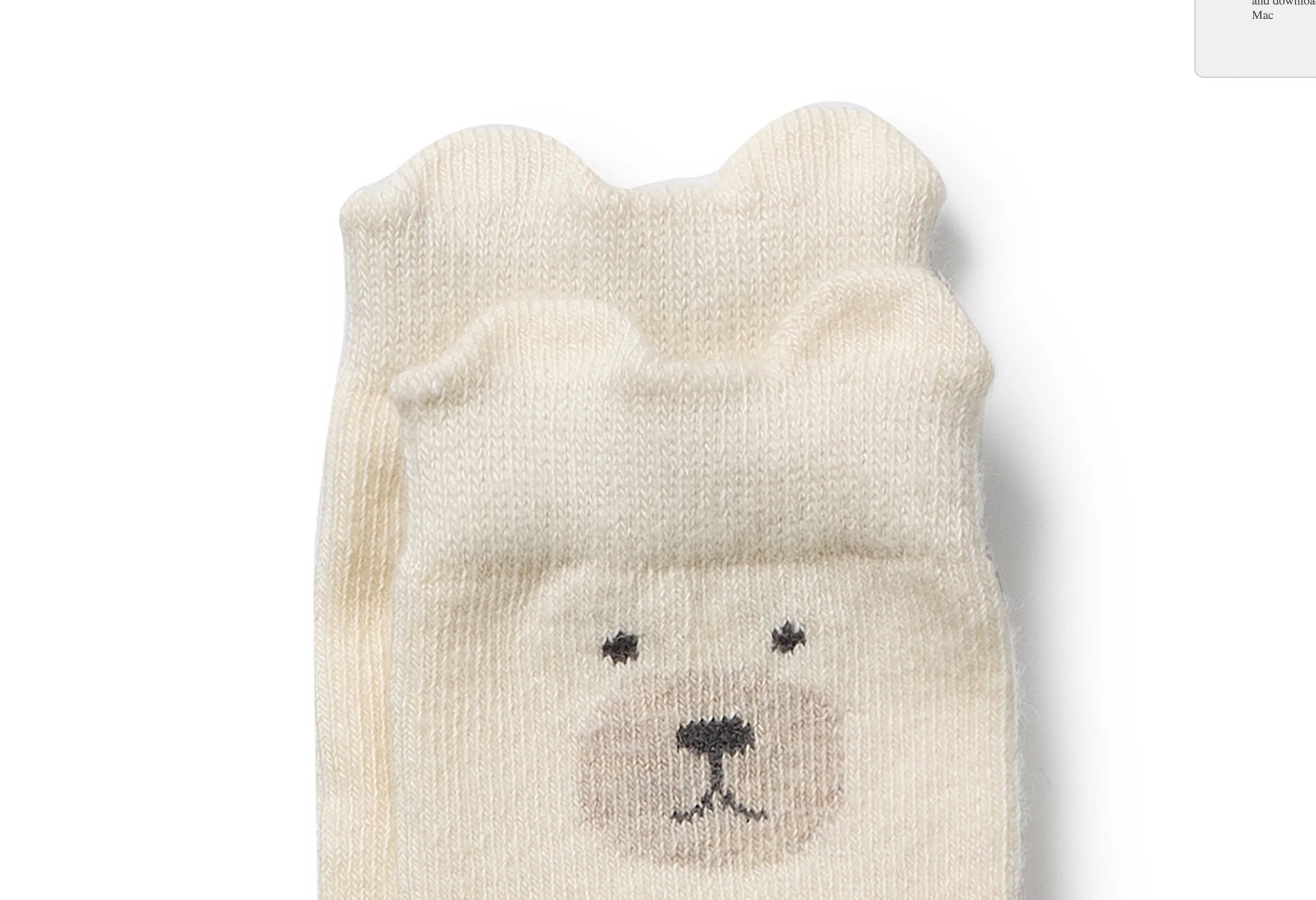 Wilson & Frenchy Socks in a Box