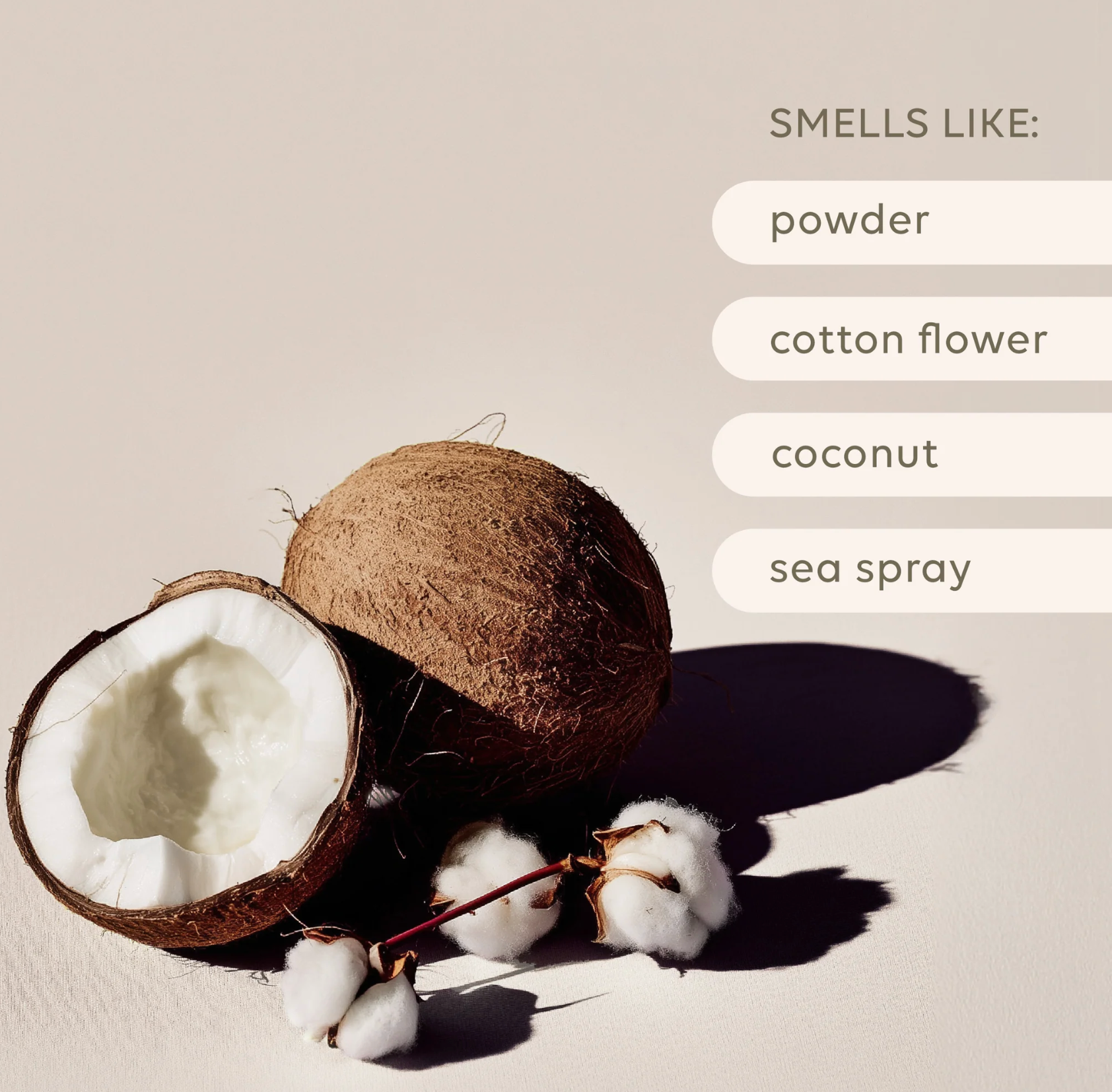 Al.ive Body Sea Cotton & Coconut Reed Diffuser