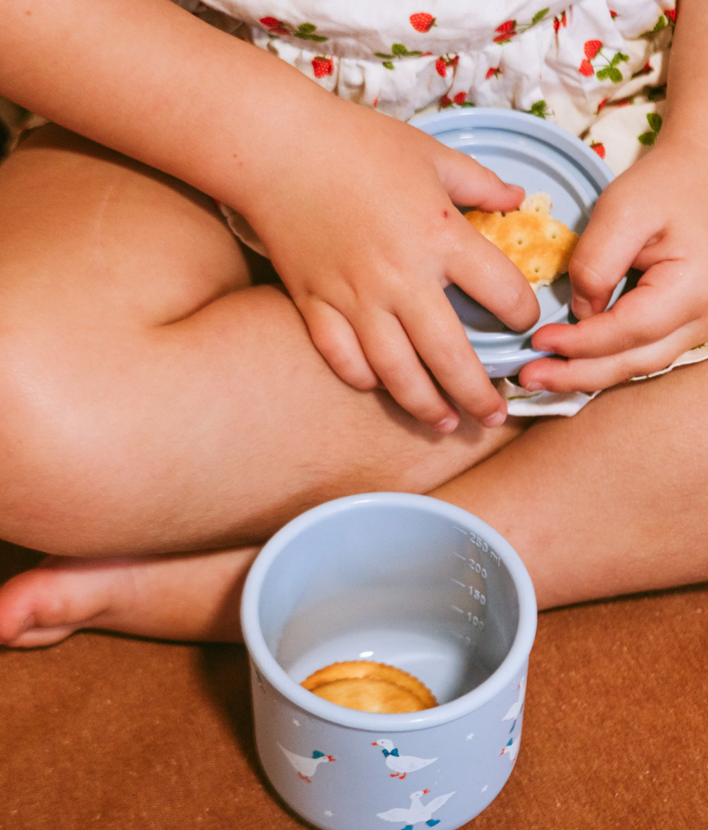 BBcińo Silly Goose Snack Pot
