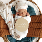 Snuggle Hunny Up & Away & Pebble Reversible Milestone Cards