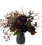Rogue Home Chrysanthemum Fig Garden Mix Small Maliah Pot Purple