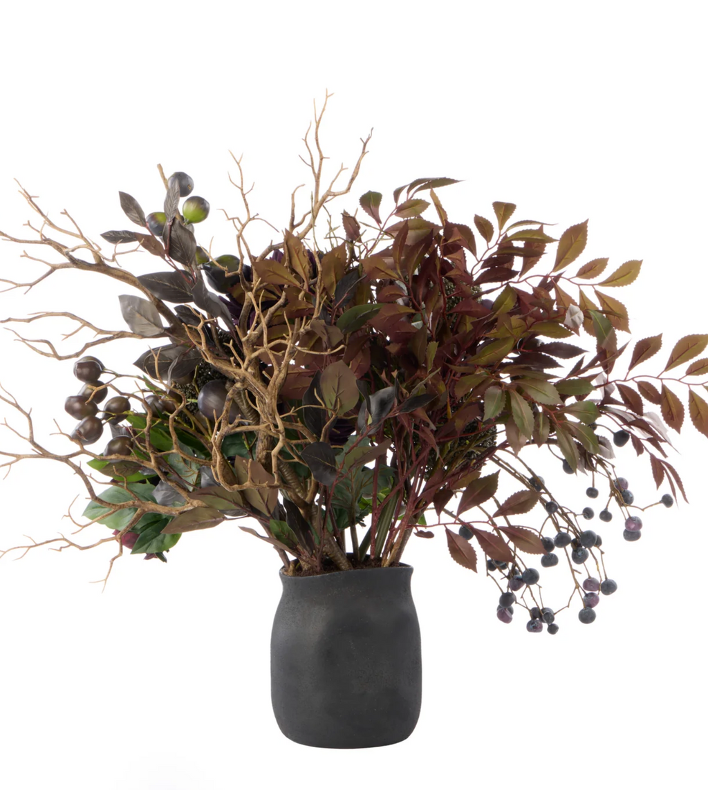 Rogue Home Chrysanthemum Fig Garden Mix Small Maliah Pot Purple