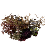 Rogue Home Chrysanthemum Fig Garden Mix Small Maliah Pot Purple