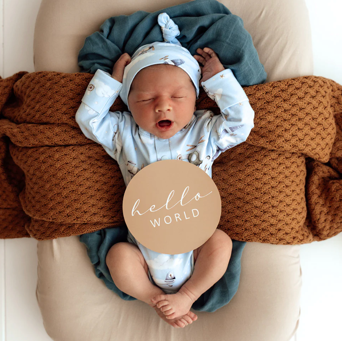 Snuggle Hunny Taking Flight & Pebble Reversible Milestone Cards