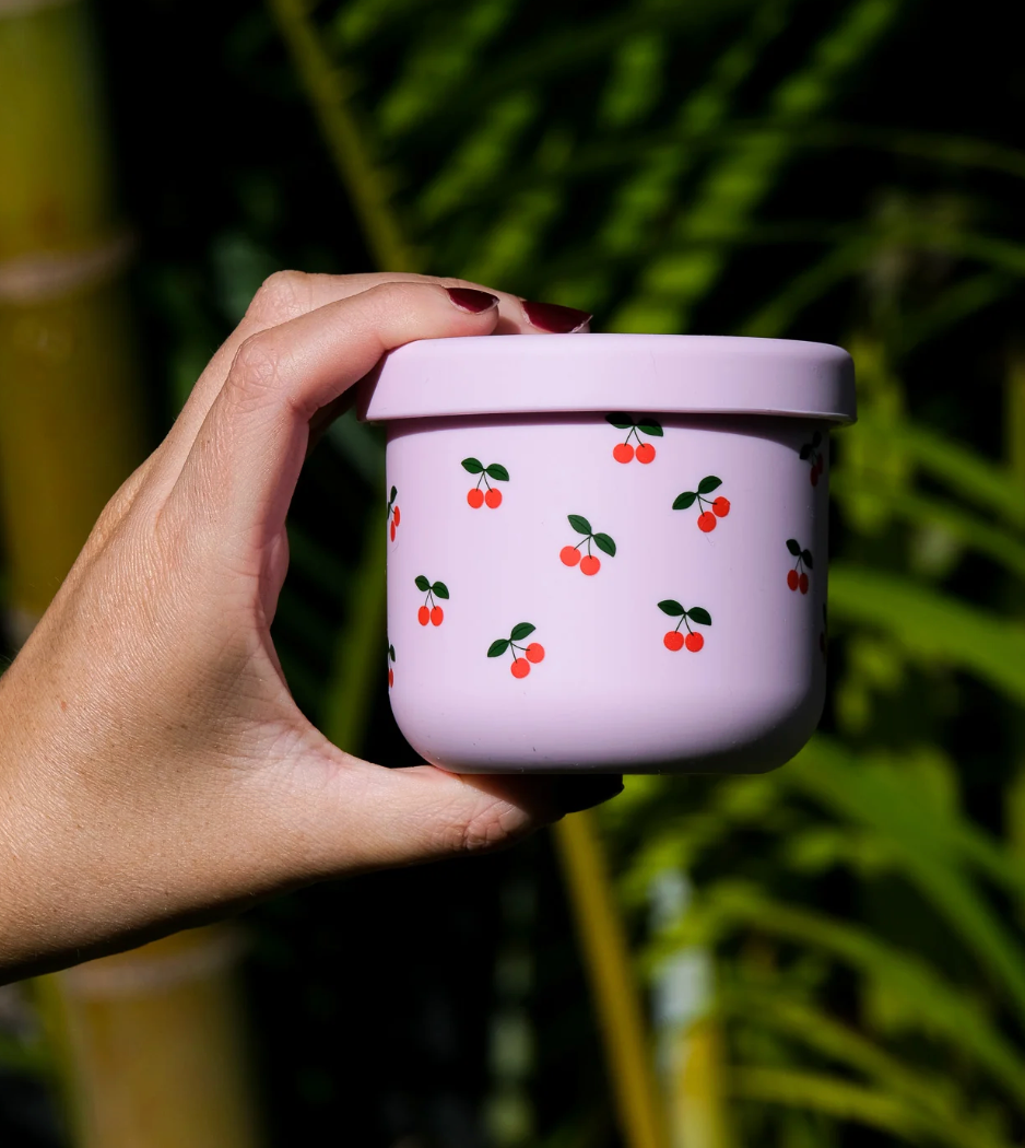 BBcino 250ml Snack Pots