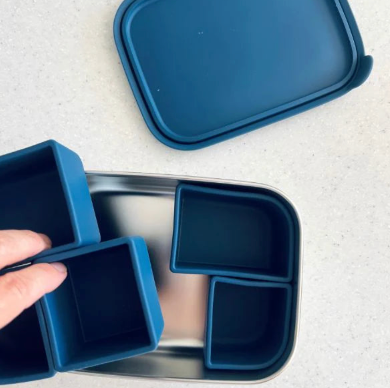 Cuddle Bug & Co - Bento Box With Silicone Dividers - Assorted