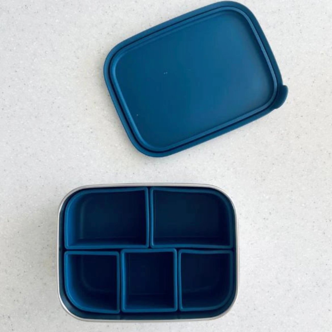 Cuddle Bug & Co - Bento Box With Silicone Dividers - Assorted