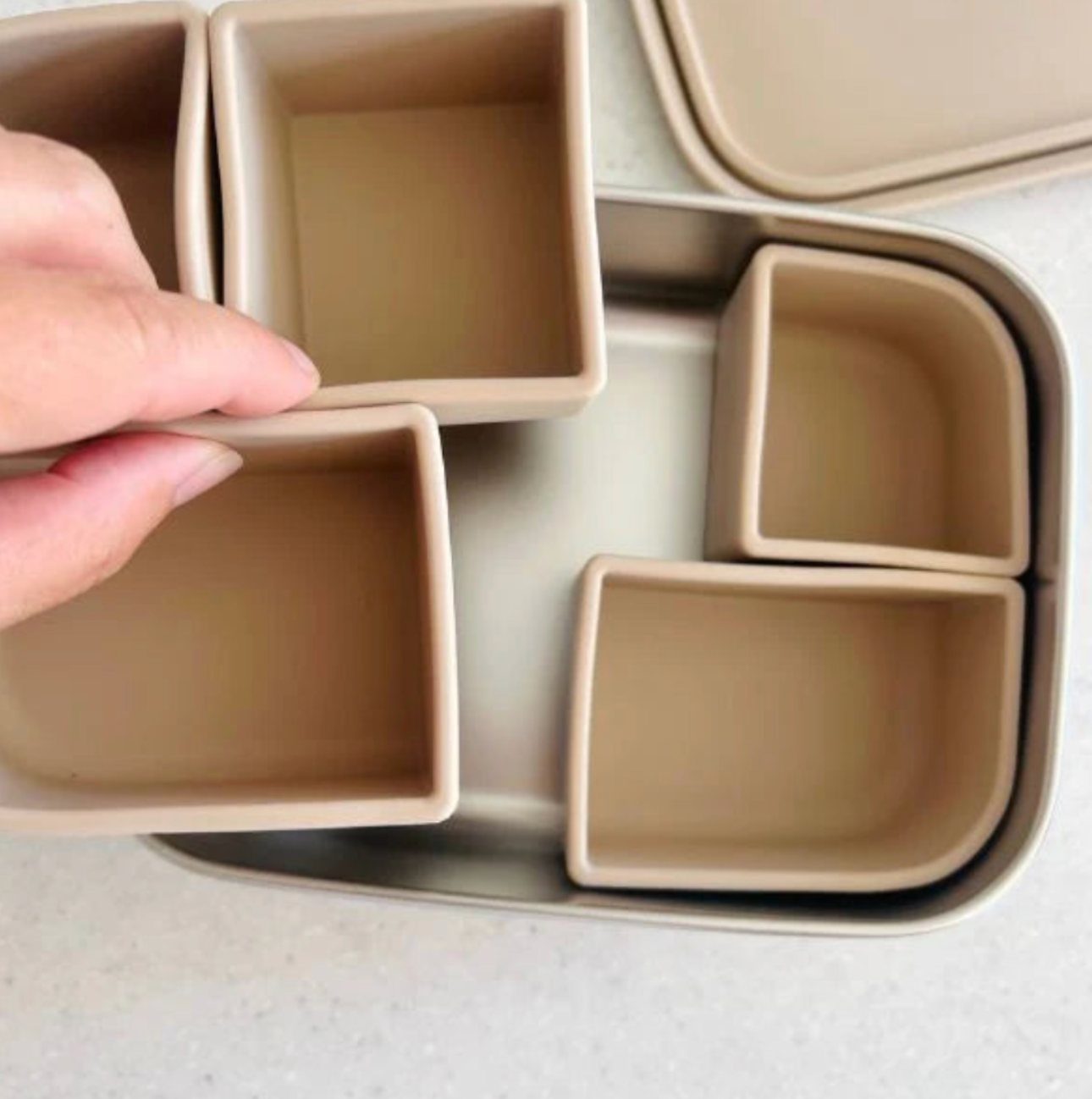 Cuddle Bug & Co - Bento Box With Silicone Dividers - Assorted