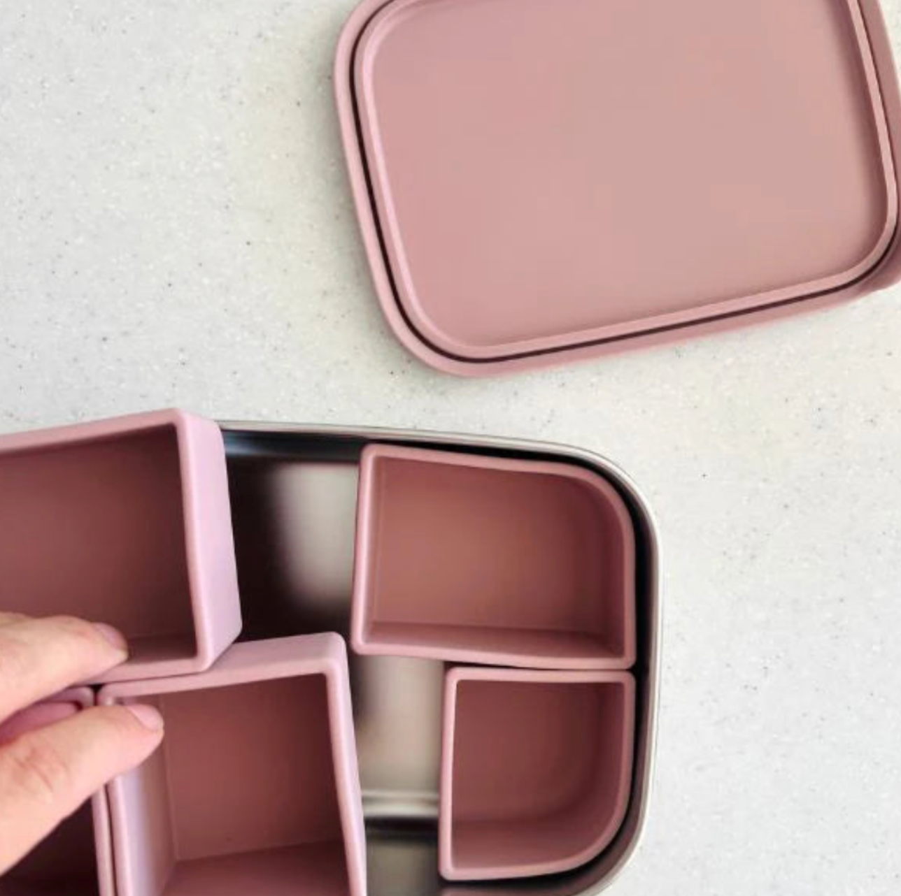 Cuddle Bug & Co - Bento Box With Silicone Dividers - Assorted