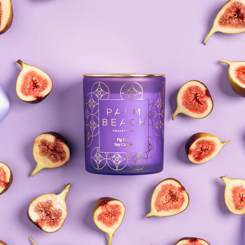 Palm Beach - Fig Tree 420g Standard Candle