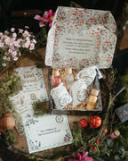 Little Potion Co Fleur Harris x Enid Blyton - The Magic Faraway Tree