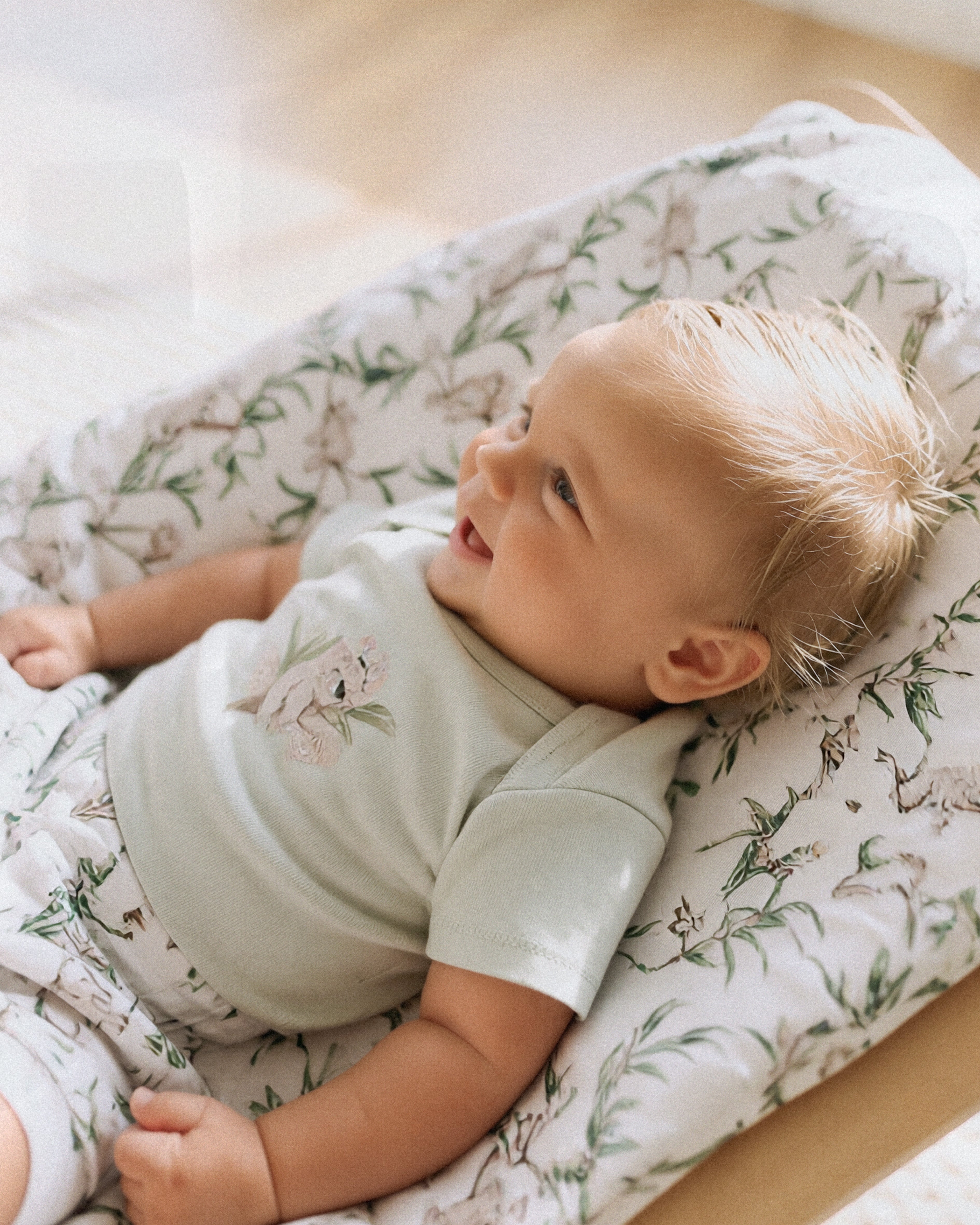 Bebe Taylor Organic Koala Bodysuit