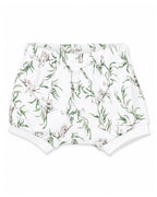 Bebe Taylor Organic Shorts