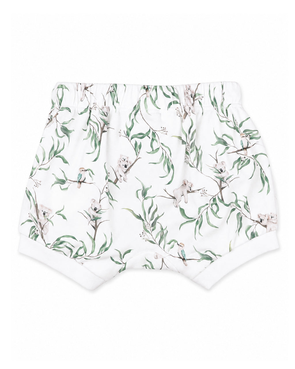 Bebe Taylor Organic Shorts