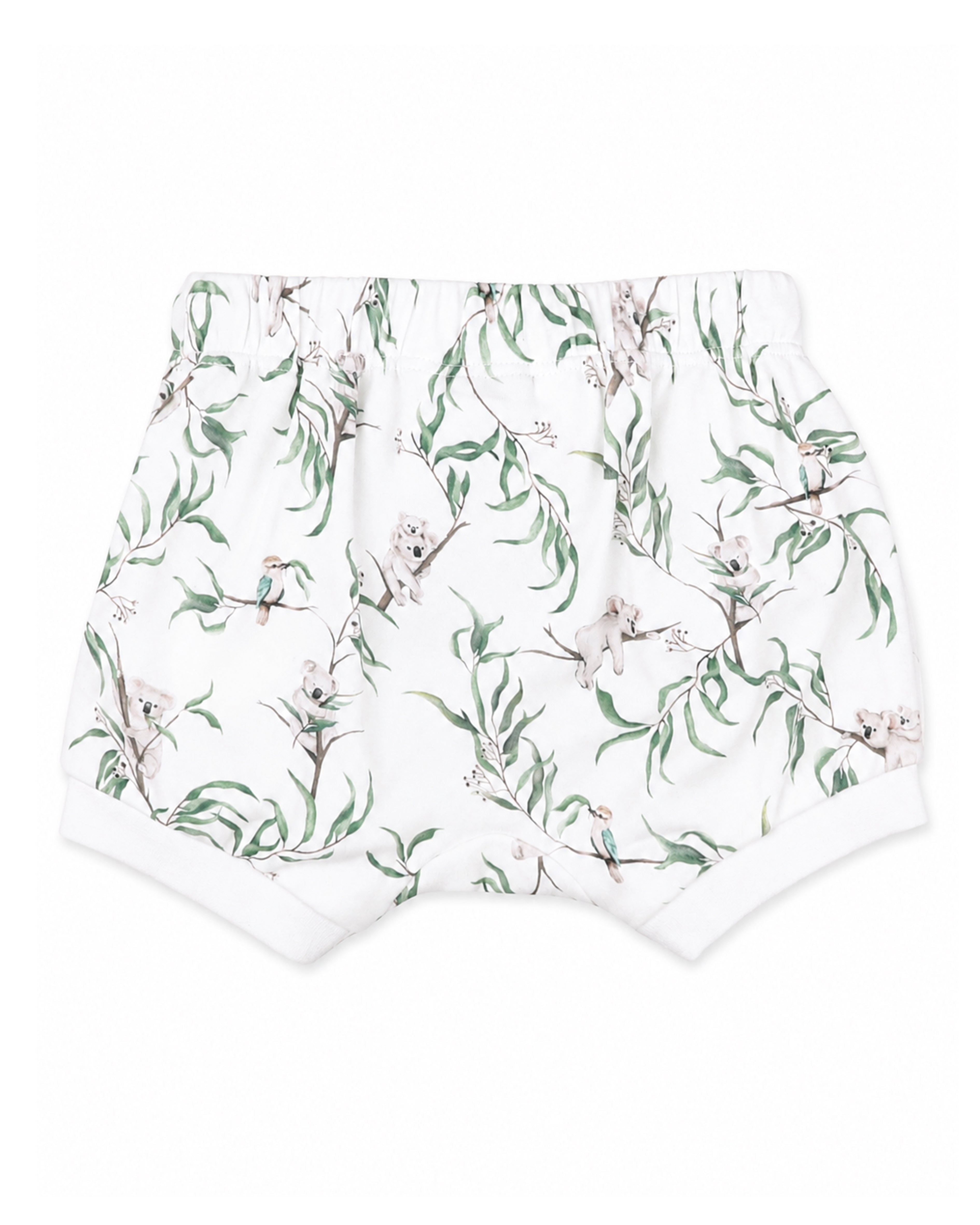 Bebe Taylor Organic Shorts