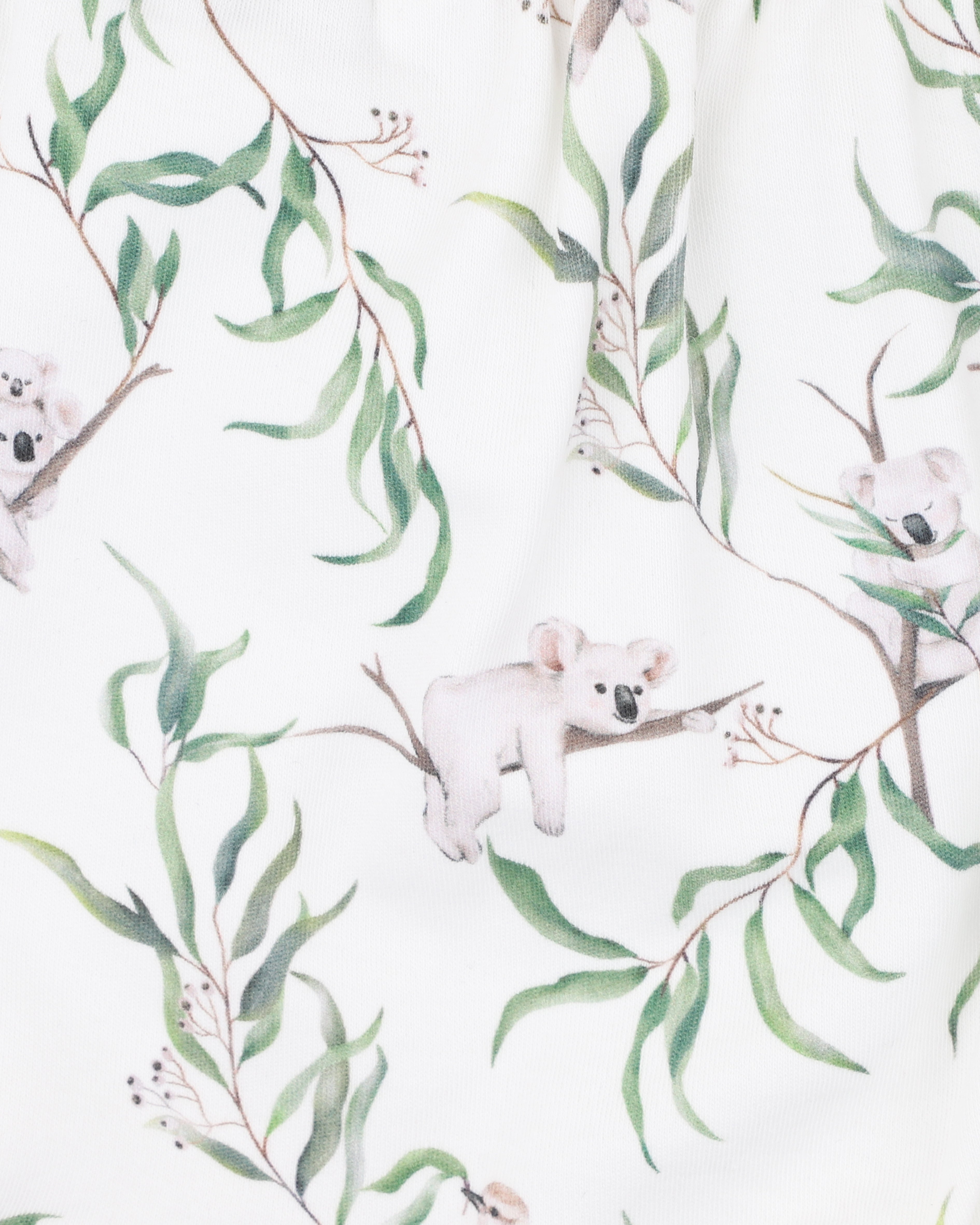 Bebe Taylor Organic Shorts