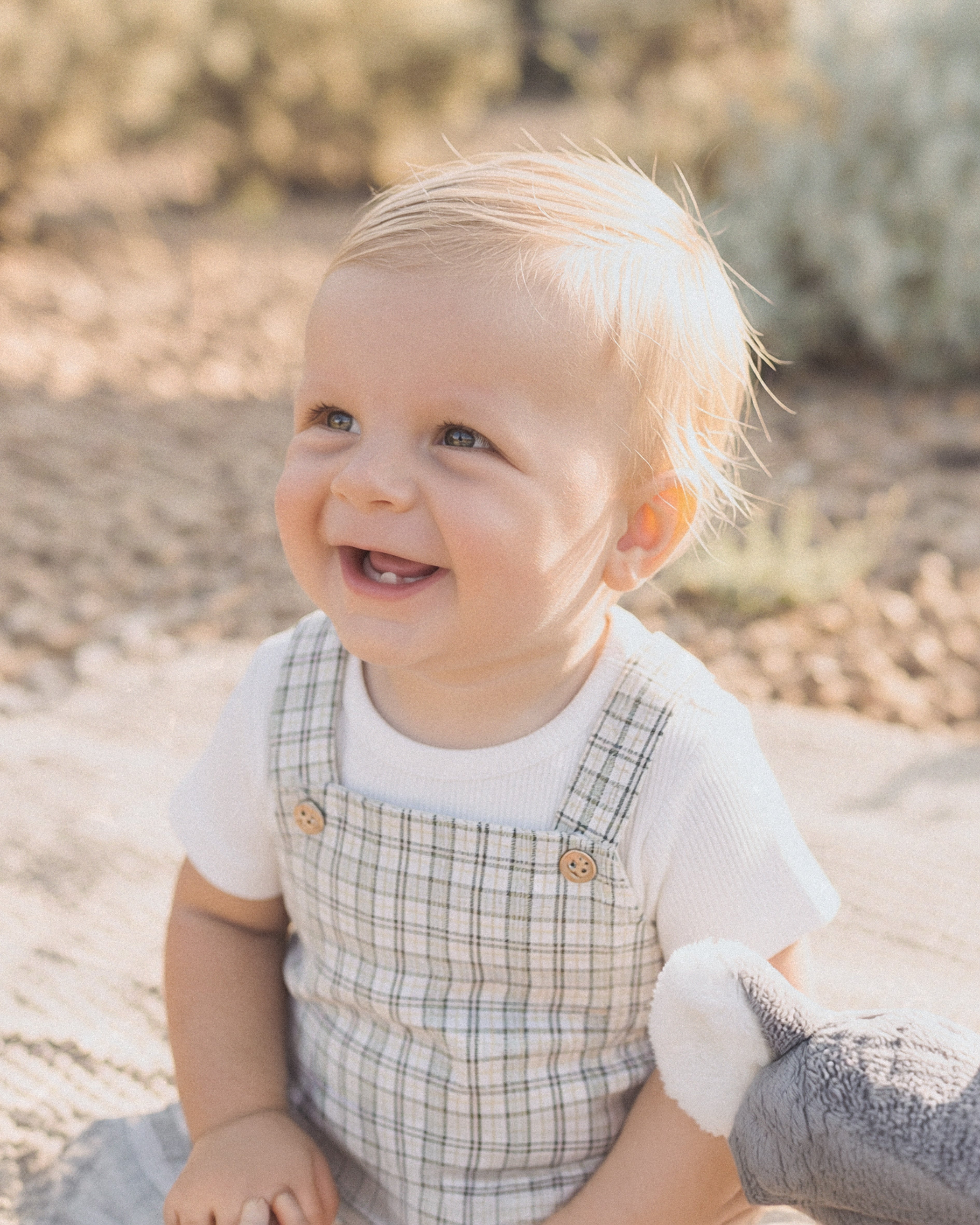 Bebe Taylor Check Bodysuit & Tee Set