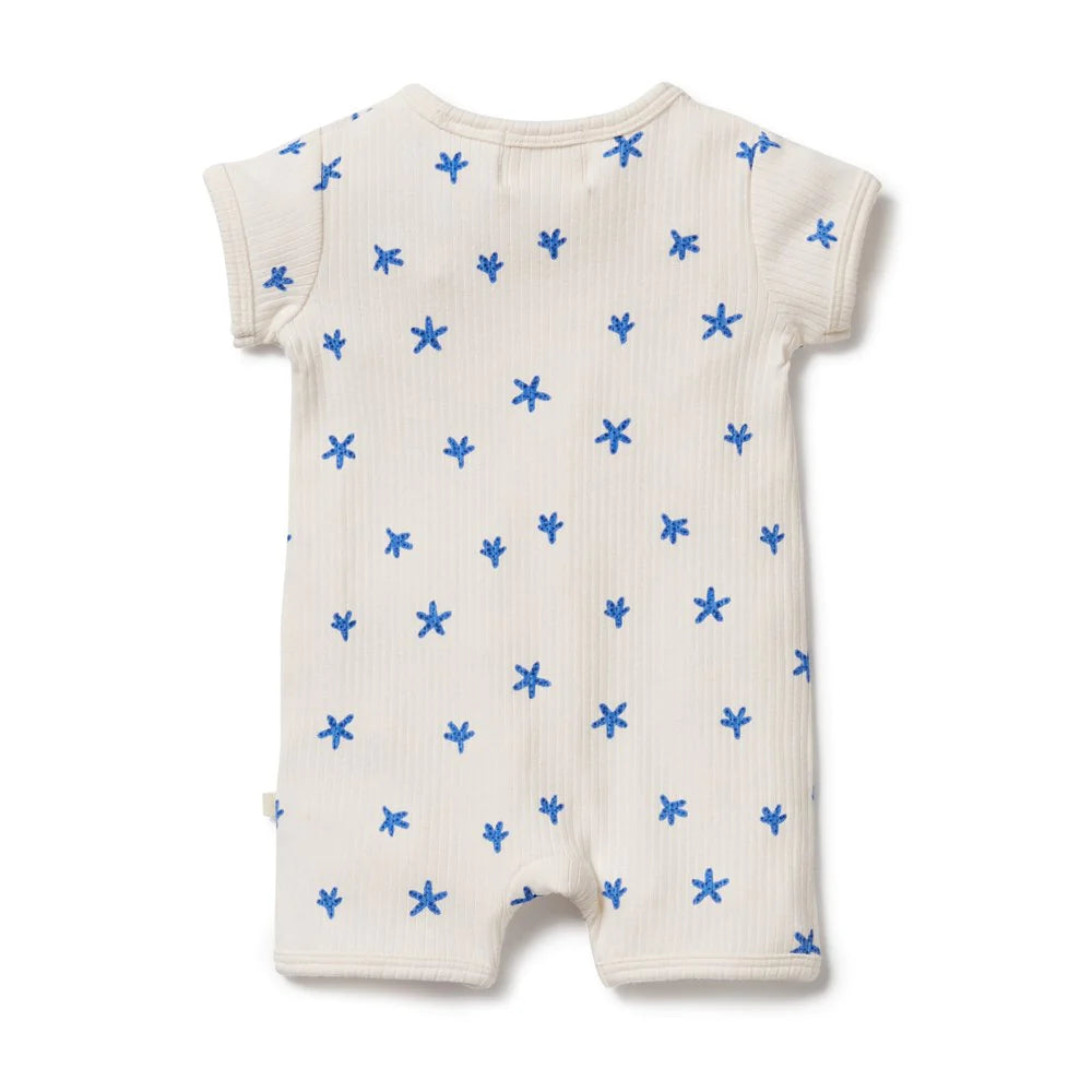 Wilson & Frenchy Little Starfish Organic Rib Zipsuit