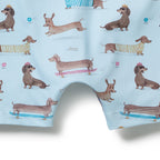 Wilson & Frenchy Dashing One Piece Boyleg Swimsuit